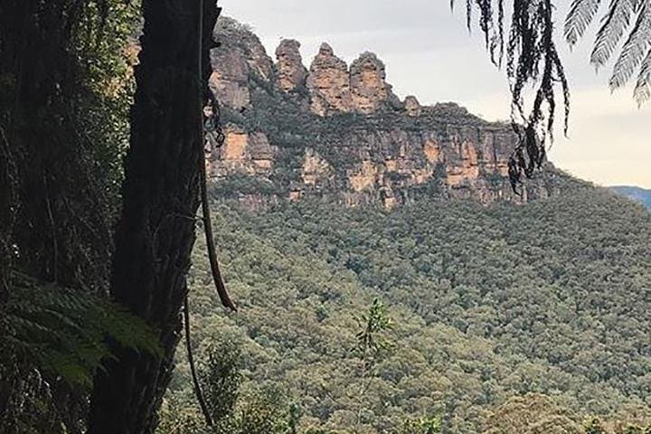 Private Blue Mountains Day Trip from Sydney — Echo Point, Wentworth Falls & Hidden Lookouts photo 4