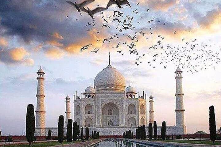 Private Taj Mahal & Red Fort Photographic Tour from Delhi photo 3