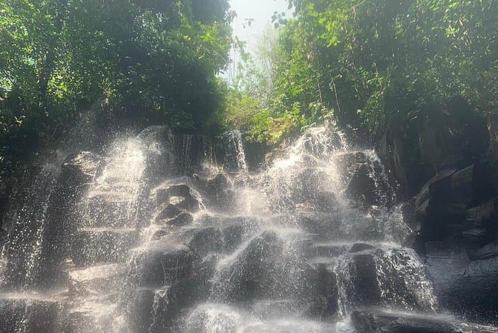 Ubud Waterfalls, Tegalalang Rice Terrace & Tirta Empul: Full-Day Shared Tour from South Bali photo 3