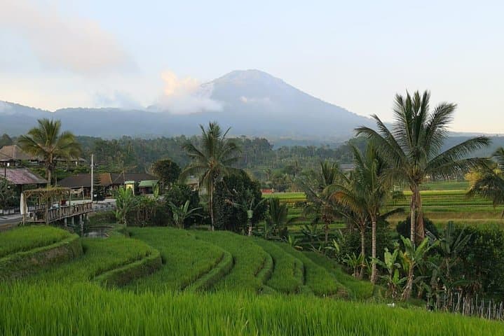 Jatiluwih Rice Terraces, Ulun Danu & Banyumala: Shared Day Tour from Ubud