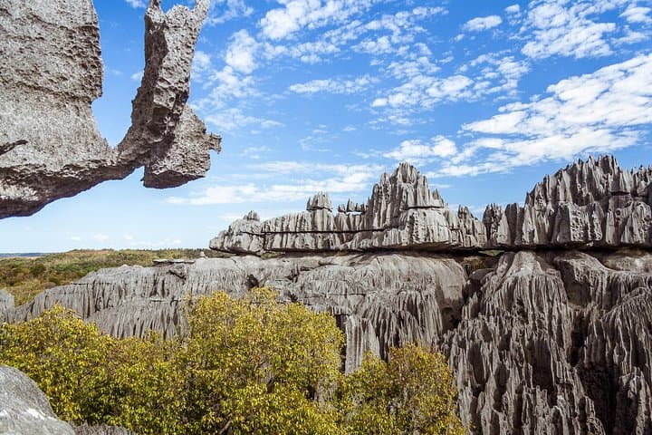 Tsingy of Bemaraha and Morondava: Baobab Avenues, Ferries and the Limestone Forest photo 3