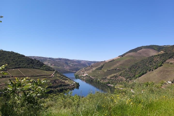 Douro Valley Private Tour: Foz Côa Rock Art, Pinhão Village & Winery Tasting