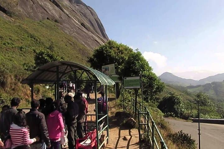 Munnar Day Trip from Kochi — Tea Gardens, Eravikulam & Mattupetty Dam photo 2
