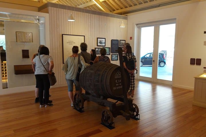 Douro Valley Private Tour: Foz Côa Rock Art, Pinhão Village & Winery Tasting photo 2