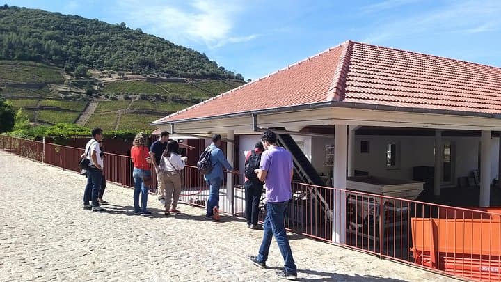 Douro Valley Private Tour: Foz Côa Rock Art, Pinhão Village & Winery Tasting photo 3