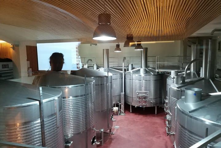 Douro Valley Private Tour: Foz Côa Rock Art, Pinhão Village & Winery Tasting photo 5