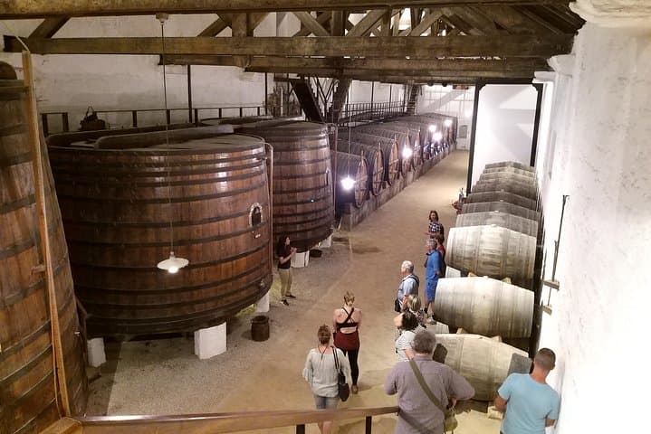 Douro Valley Private Tour: Foz Côa Rock Art, Pinhão Village & Winery Tasting photo 6
