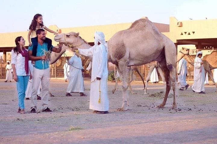 Al Ain Day Trip from Dubai — Jebel Hafeet, Camel Market & Al Ain Museum photo 1