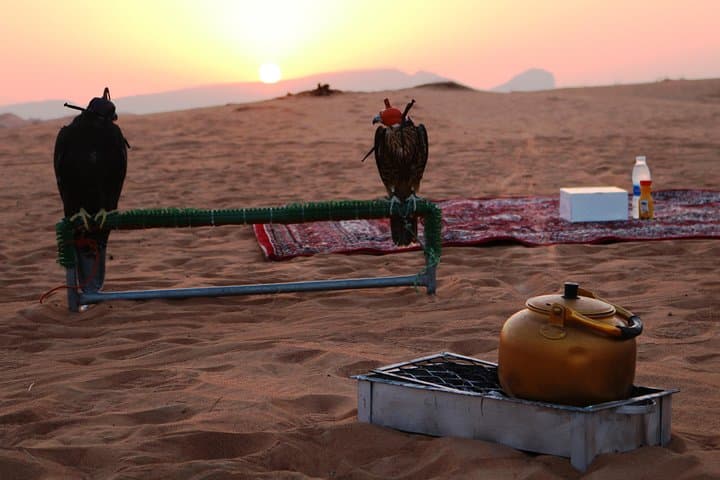 Sunrise Desert Safari in Abu Dhabi: Dawn Over Dunes & Hajar Views photo 4