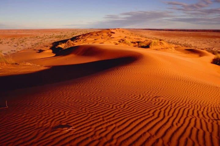 Sunrise Desert Safari in Abu Dhabi: Dawn Over Dunes & Hajar Views photo 5
