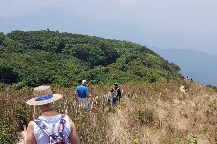 Doi Inthanon Day Trip: Thailand's Highest Peak, Local Coffee & Jungle Hike photo 3