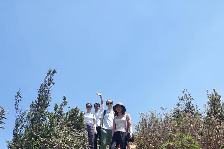 Doi Inthanon Day Trip: Thailand's Highest Peak, Local Coffee & Jungle Hike photo 4