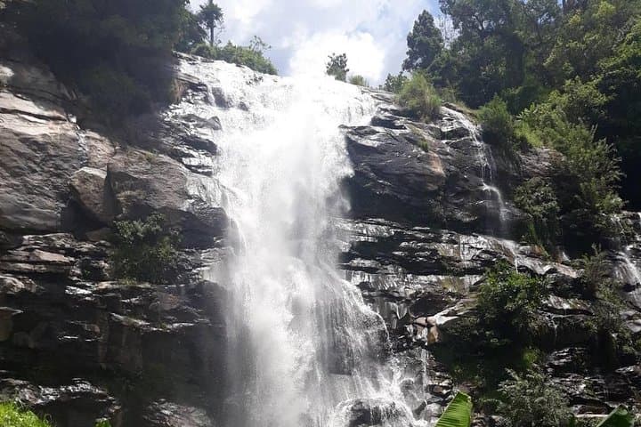 Doi Inthanon Day Trip: Thailand's Highest Peak, Local Coffee & Jungle Hike photo 6