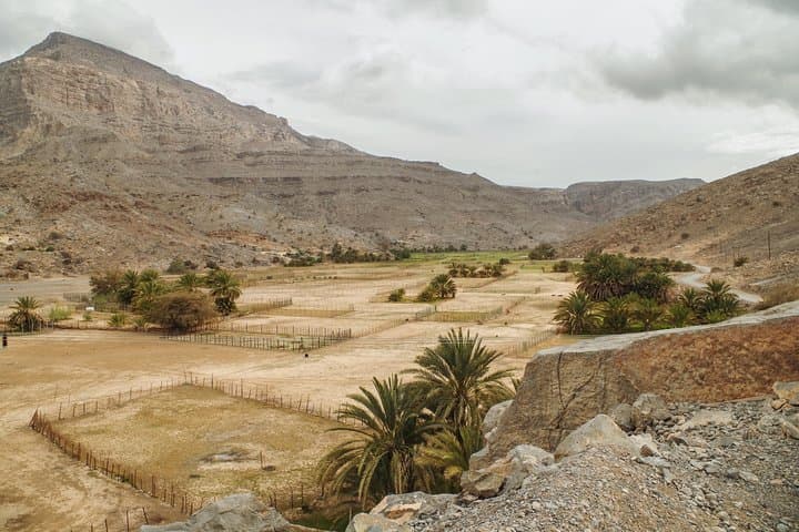 Khasab Musandam Mountain Safari: Half-Day 4x4 to Jebel Harim photo 3