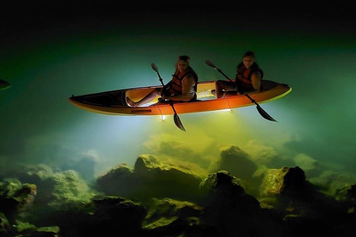 Glass-Bottom LED Kayak Night Tour in St. Pete Beach: Fish Feeding & Mangrove Bird Island photo 5