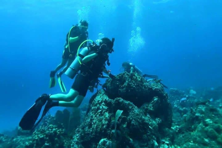 Catalina Island Diving Tour: Two Scuba Dives from Punta Cana with Lunch photo 2