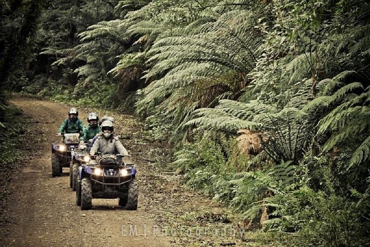 Apoema Off-Road: 15km Quadricycle Adventure from Canela photo 5