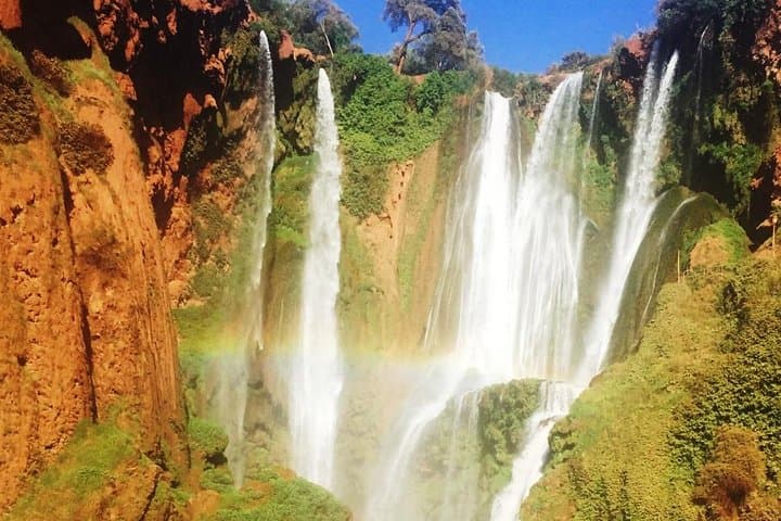 Ouzoud Waterfalls Day Trip from Marrakech: Guide to the Falls, Boat Rides & Monkeys photo 3