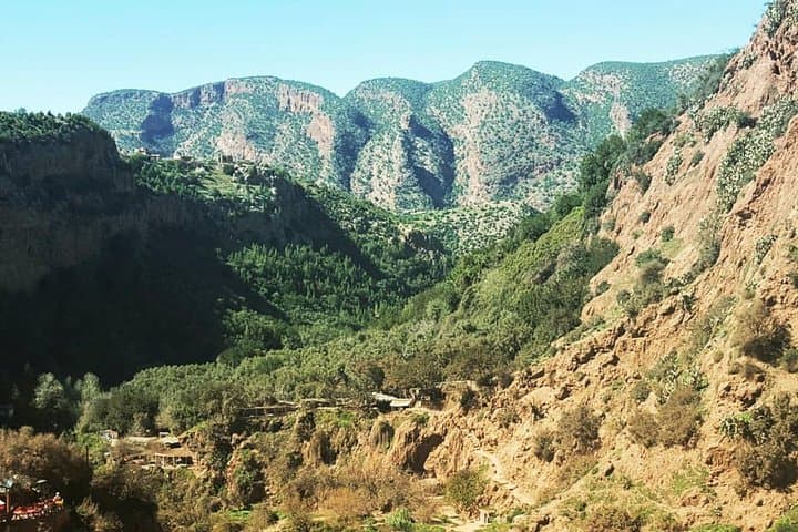 Ouzoud Waterfalls Day Trip from Marrakech: Guide to the Falls, Boat Rides & Monkeys photo 5