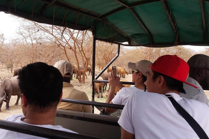 Bandia Wildlife Reserve Private Safari: 4x4 Game Drive from Dakar photo 3