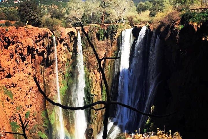 Ouzoud Waterfalls Day Trip from Marrakech: Guide to the Falls, Boat Rides & Monkeys photo 6