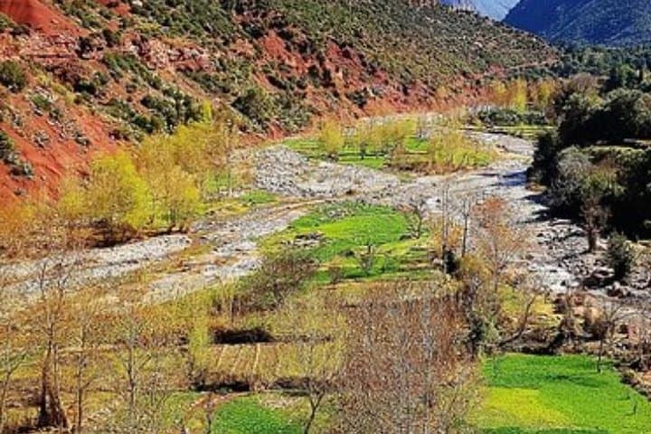 Atlas Mountains to Agafay Desert Day Trip — Camel Ride & Imlil Hike from Marrakech photo 6