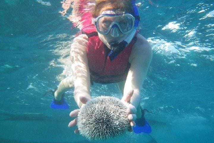 Punta Cana Scuba Doo Underwater Scooter: Half-Day Glass-Bottom Boat & Helmet Dive photo 4