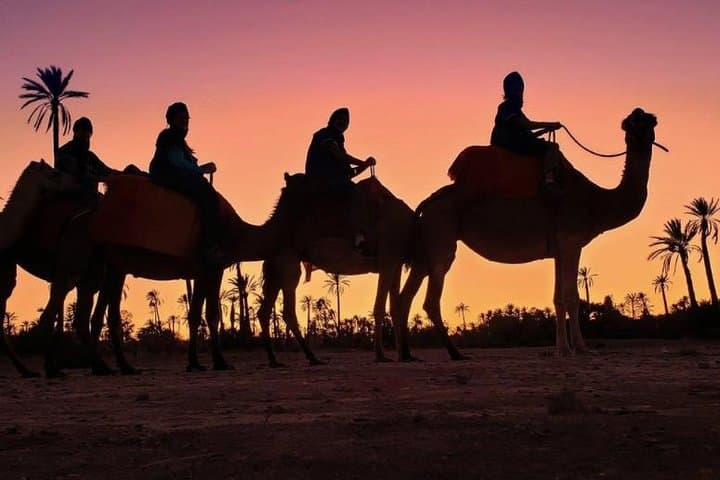 Sunset Camel Ride in Marrakech’s Palmeraie: Berber Tea and Golden Dune Views photo 3
