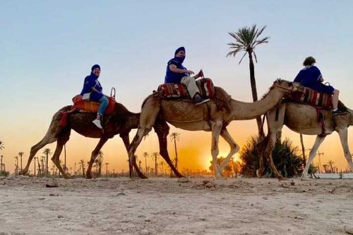 Sunset Camel Ride in Marrakech’s Palmeraie: Berber Tea and Golden Dune Views