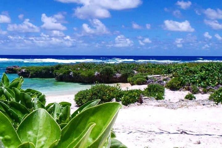 Horseback Riding in Port Vila: Etmat Bay Rainforest & Beach Ride photo 4