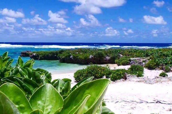 Full-Day Efate Island Tour: Cultural Village, Blue Lagoon & Hot Springs photo 6