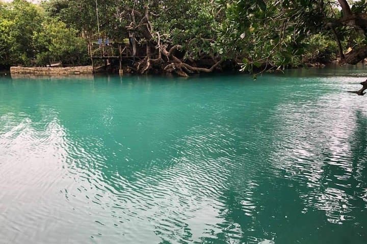 Blue Lagoon & Eden on the River: Half-Day Swim Tour from Port Vila photo 5