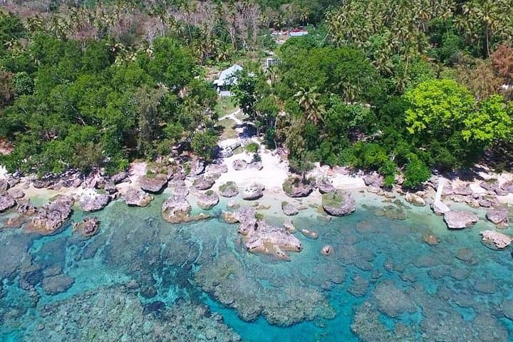 Snorkel with Turtles at Back to Eden, Port Vila — Yumi Tours photo 5