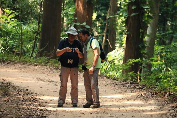 Sri Lanka Butterfly Trail: 11-Day Sinharaja to Sigiriya Wildlife Tour photo 5