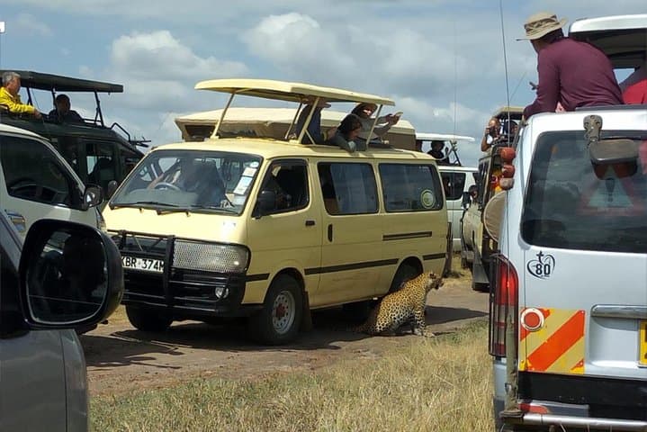 3-Day Masai Mara Safari with Maasai Village Visit — Big Five & Migration Experience photo 4