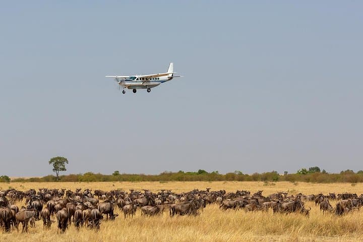 4-Day Masai Mara Budget Camping Safari — Migration, Game Drives & Tented Camp photo 3