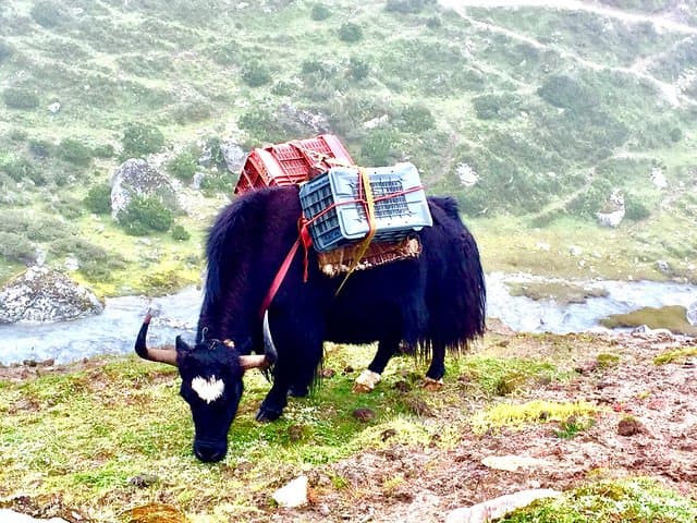 Everest View Trek: 7-Day Panorama Trek from Kathmandu to Lukla photo 6