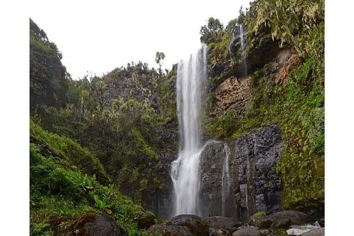 Summit Mount Kenya via Chogoria: 5-Day Trek to Point Lenana photo 6