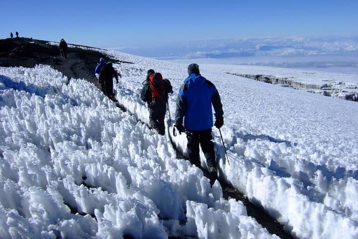7-Day Mount Kilimanjaro Lemosho Route: A Practical Guide to East Africa’s Western Ascent photo 4