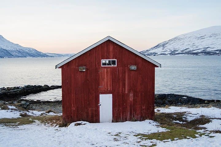Arctic Fjords Road Trip with Citizen Science from Tromsø photo 3