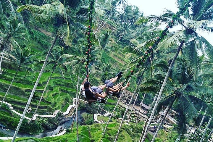 Ayung River Jungle Swing & White Water Rafting — Ubud Full-Day Adventure