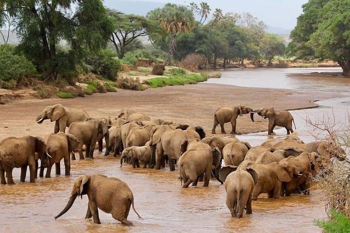 Across the Jade Sea: 8-Day Lake Turkana Camping Safari photo 2