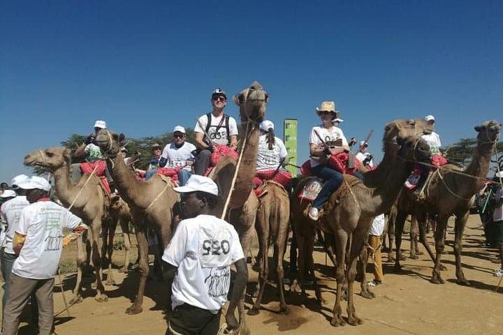 Across the Jade Sea: 8-Day Lake Turkana Camping Safari photo 3
