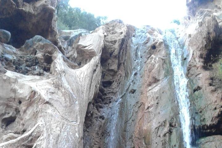 Paradise Valley Day Trip from Agadir — Goats in Argan Trees & Souk El Had Visit photo 4
