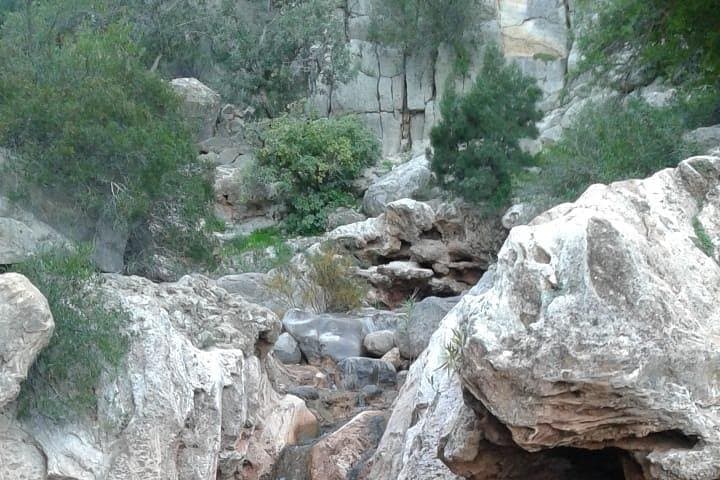 Paradise Valley Day Trip from Agadir — Goats in Argan Trees & Souk El Had Visit photo 6