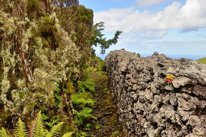Rocha do Chambre Trail: Challenging Half-Day Hike on Terceira Island photo 2