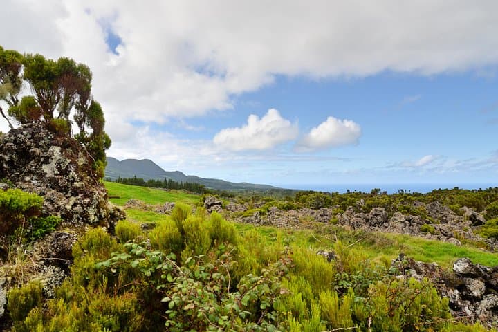 Rocha do Chambre Trail: Challenging Half-Day Hike on Terceira Island photo 5