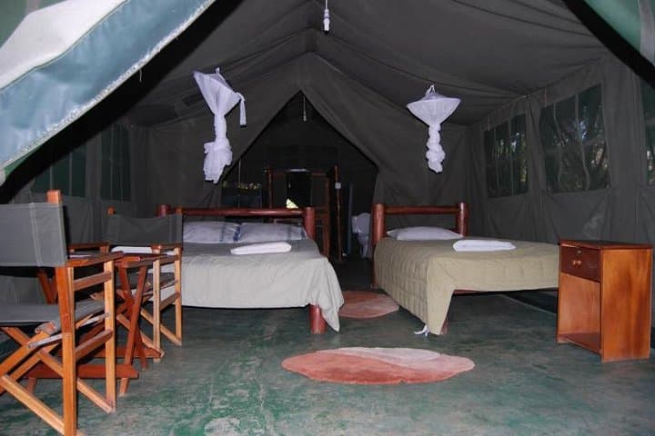 7-Day Kenya Tented Camp Safari: Amboseli to Masai Mara Wildlife Circuit photo 1