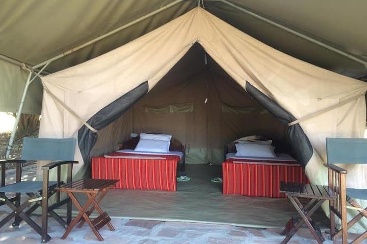 7-Day Kenya Tented Camp Wildlife Safari: Maasai Mara, Nakuru, Naivasha & Amboseli photo 2