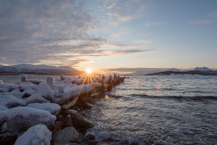 Arctic Fjords Road Trip with Citizen Science from Tromsø photo 2
